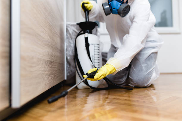 Best Best Pest Control Companies  in Mathews, LA
