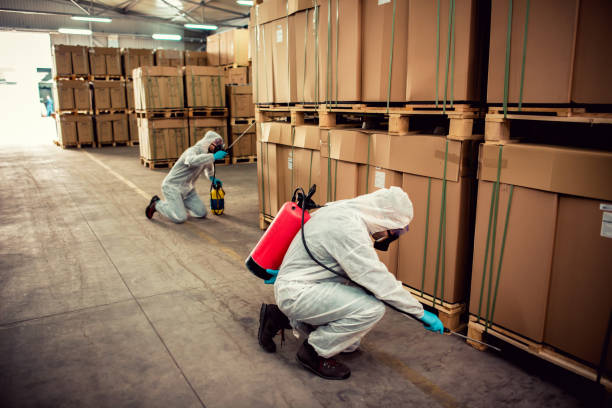 Best Cockroach Control Services  in Mathews, LA