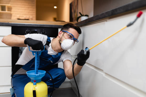 Best Pest Control Treatment  in Mathews, LA