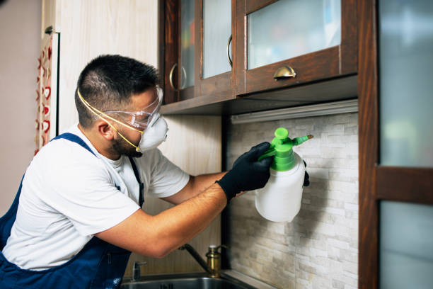 Best Cockroach Control Services  in Mathews, LA