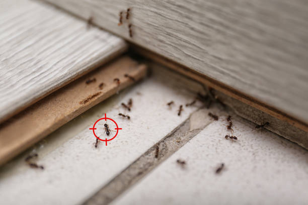 Mathews, LA Pest Control Company