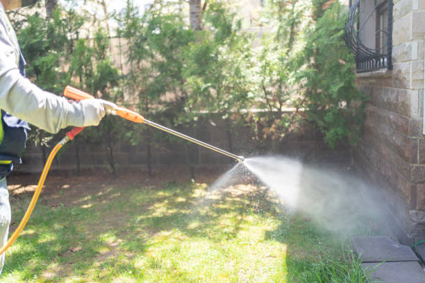 Wasp Removal Services in Mathews, LA