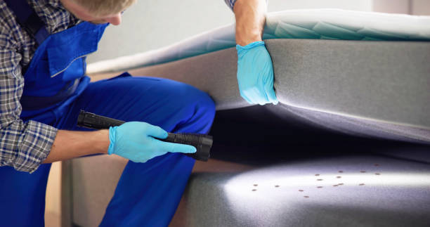 Best Best Pest Control Near Me  in Mathews, LA