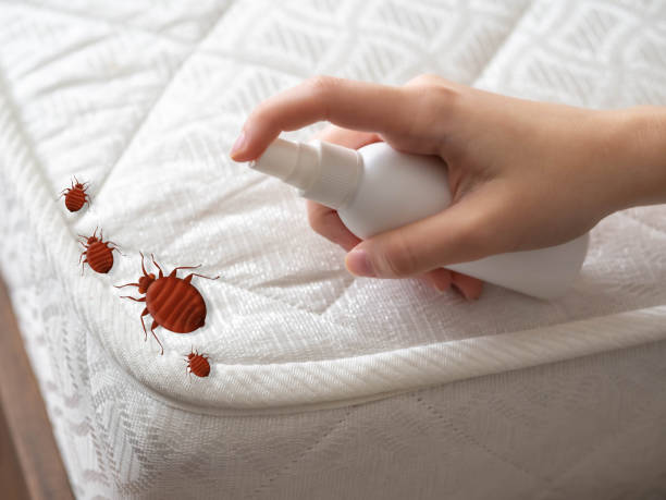 Pest Prevention Services in Mathews, LA