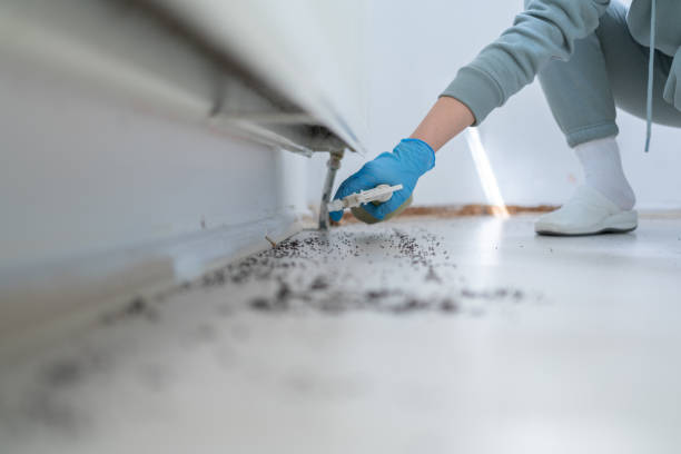 Best Pest Control Near Me  in Mathews, LA