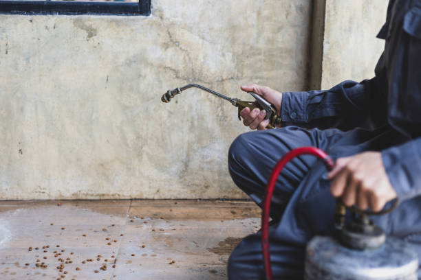 Best Pest Prevention Services  in Mathews, LA